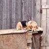 Эдуард Шторк - @edwardstork - TikTok