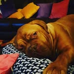 Kate Edwards Tulloch - @edwardstulloch - Instagram