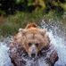 Edward Sullivan - Facebook