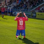 Teddy - @edwardsutherland20 - Instagram