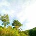 Edward Suan - Facebook