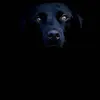 edward_v - @edward..v - TikTok