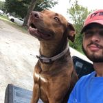 Edward Suggs - @edward_suggs - Instagram