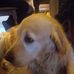 Edward Surowiec - Facebook