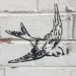 Ed Swift - @edwardswift - Instagram