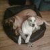Edward Swindle - Facebook