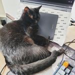 Foo BarBaz - @edward.teixeira - Instagram