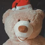 Edward Templeton - @ted_the_bear_templeton - Instagram