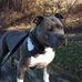 Eddie Thayer - Facebook