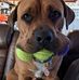 Edward Thayer - Facebook