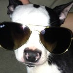 Jaxwellington Edward Thayer I - @jaxwellington - Instagram