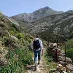Edward Thornton - @edward.thornton - Instagram