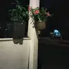 edwardtomasfrank - @edwardtomasfrank - TikTok