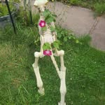 Edward Toombs Lmt - @toombslmt - Instagram