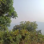 Bïg Dã - @edward.toppo.585 - Instagram