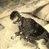 Zein9402 - @edwardotopp - TikTok