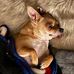 Ed Torgersen - Facebook