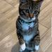 Edward Tracey - Facebook