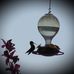 Edward Triner - Facebook