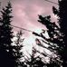 Edward Tremblay - Facebook