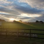 Edward Trimingham - @edwardtrimingham - Instagram
