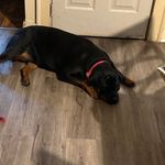 Edward trimble - @bigedondp - Instagram