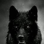 Edward Troche - Facebook