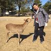 Edward Tsang - @edwardtsang2 - TikTok