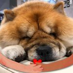 Tsang Edward - @edward_tsang_kwong_hung - Instagram