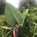 Edward Tsen - @tsenedward - Instagram