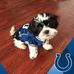 Edward Joseph Vest - Facebook