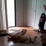 Edward Vosburgh - @vosburghedward - Instagram