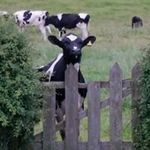 Edward Walker - @edwardwalker770 - Instagram