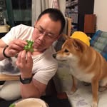 Edward Wan - @wanshaorong - Instagram