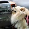 Edward Wan - @vviivviivi - TikTok