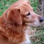 Edward Whatley - @edward.whatley.9 - Instagram