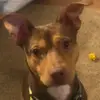 fredward_willingham - @fredward_willingham - TikTok