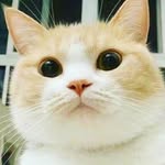 EdwardWinner - @edwardwinner9171 - Instagram
