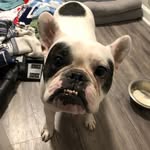 Sir Edward Winston - @spotoneddie - Instagram