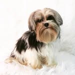 winston edward - @sirwinstonedward - Instagram