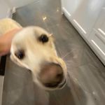 Edward Withers - @poodinmapants - Instagram