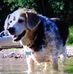Eddie Withrow - Facebook