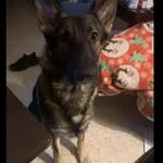 EDWARD WOLFE - @edwa.rdwolfe - Instagram