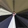 Edward Wolfe - @edwardwolfe2 - TikTok