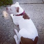 Edward Wooten - @wootenedward - Instagram