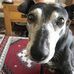 Edward Wyatt - Facebook