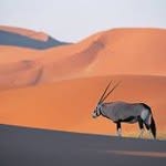 edwardyi - @edwardyiweijie - Instagram