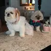 edwardyidi - @edwardyidi - TikTok