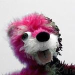Edward Yoho - @phoenix_and_the_dragon - Instagram