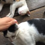 Edward Zhong - @zhongedward - Instagram